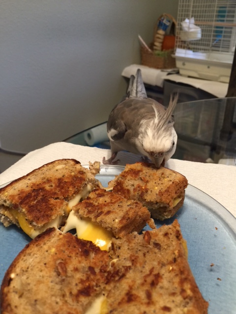 Oh yes....nom nom nom nom nom....