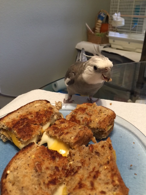 Speaking of which....