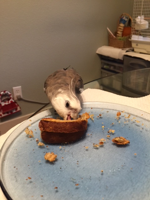 Crunch chomp nom nom nom....