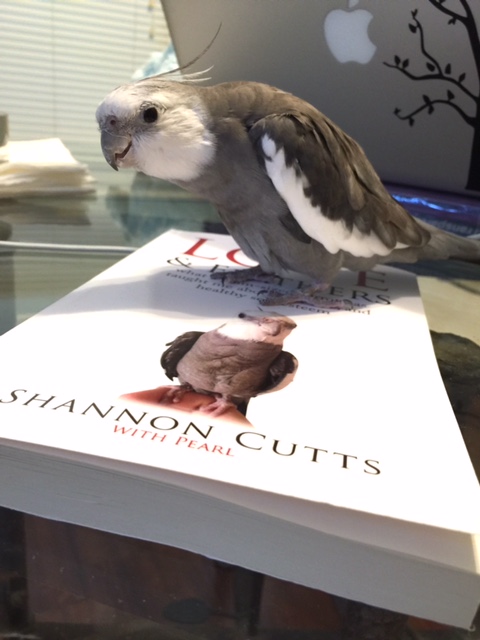 I am .007, after all, so I am sure I can solve this mystery.