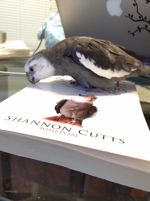 Wait a minute...wait just a minute....it is starting to come to me now.