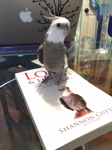 Yes I'm quite sure of it....I sense a particularly strong concentration of "cuteness." It seems to be coming from.....