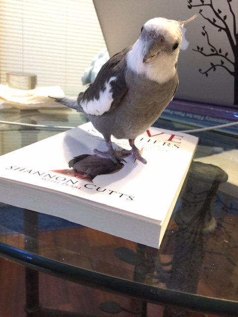 I mean, I know why....but still. Something just seems extra-special about this day.