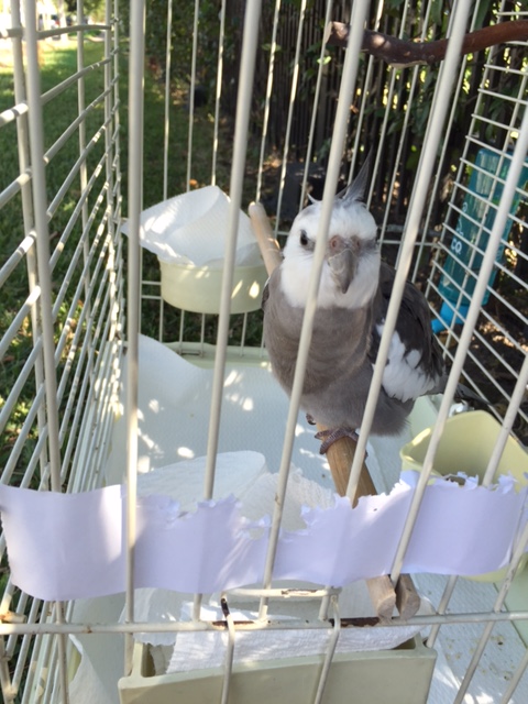 Sigh. And we wonder why I'm always single.