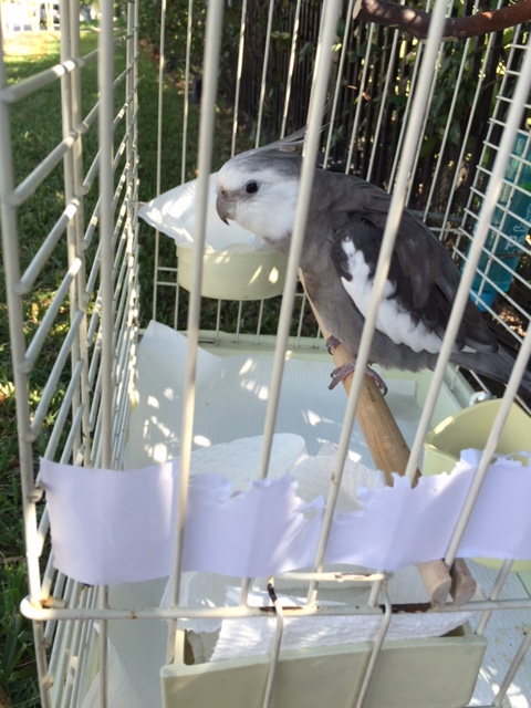 Your other "back," Mom.