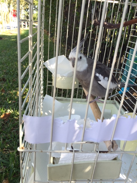 Yup, that's good. How about just a little farther back....