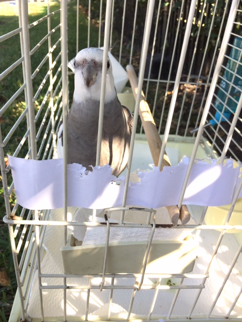 Um....Mom....I said a FEW. 