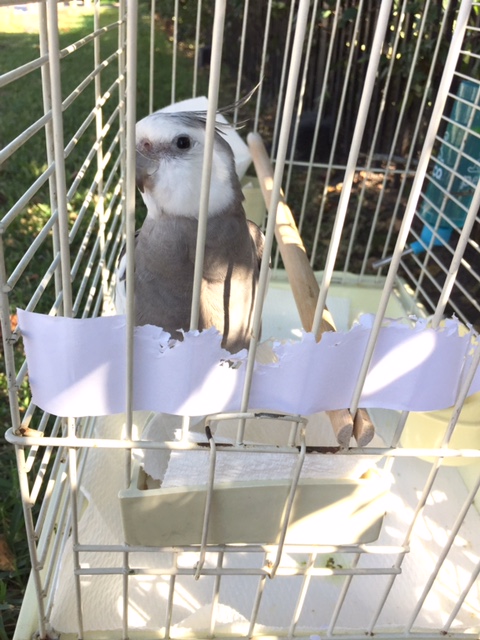 Yes, Mom - I think a few informal snapshots will be just the thing to spread the word.