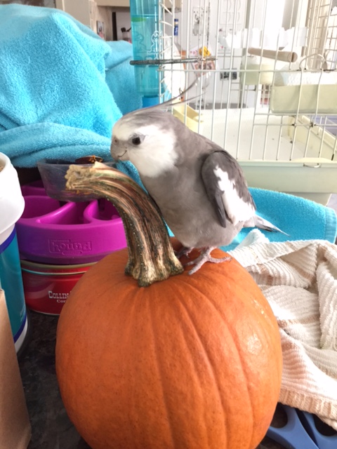 What'd you say? "Just stand here and look cute?" 