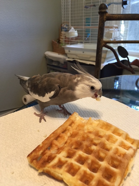 Of course, it never hurts to have another nibble (or few) just to be sure...