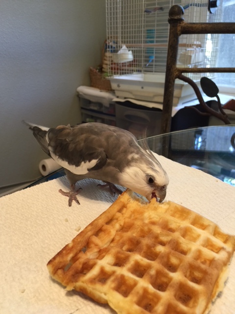 And maybe just one more nibble for the road...