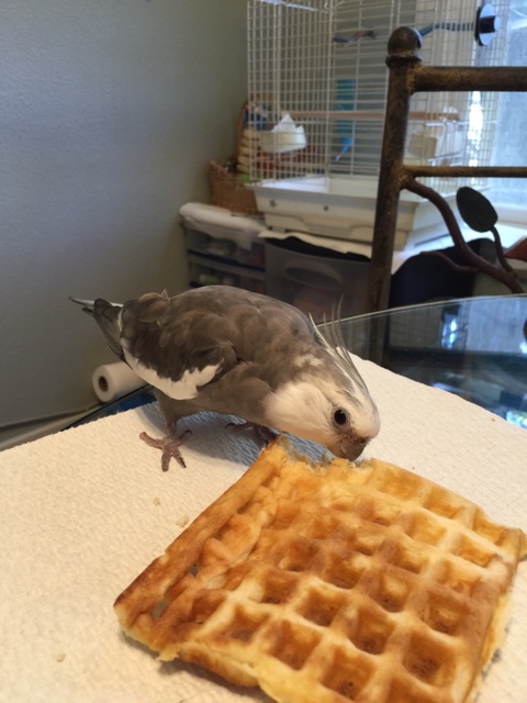 Sigh. Another perfect day.