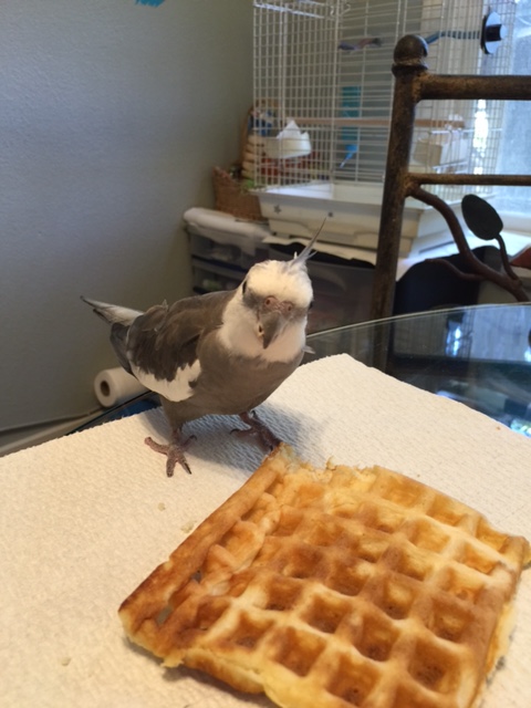 Um, no I don't need any help, Mom. 