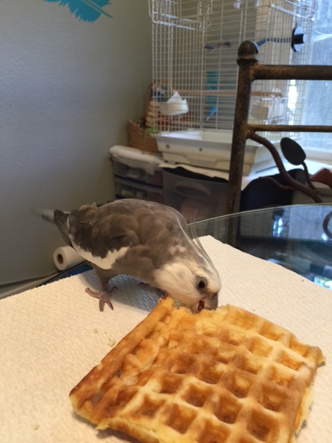 A nibble just confirms up - yup, definitely the Small Chef's creation!