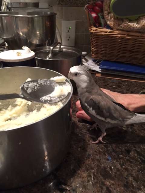 Aha! Here it is! There sure is a lot of it, too!