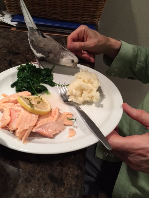 I will just take a sample for analysis - for security's sake, I'll hold it in my lethal curved beak.