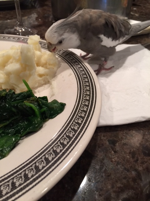 This sample seems strangely fortifying - I'll just gather a bit more so as to have an ample amount for ingestion, er, analysis....