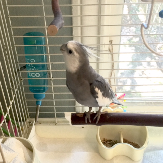 Plus, the presence of this sharp sudden drop-off shows off my love of a good challenge.