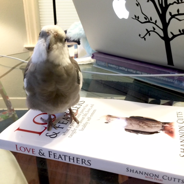 And for the finale, a shot of me with my left cute pink foot forward!