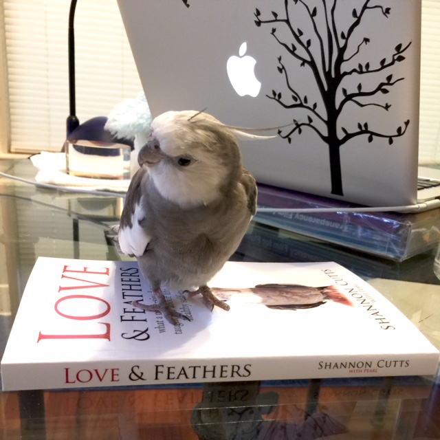 You want to do what?