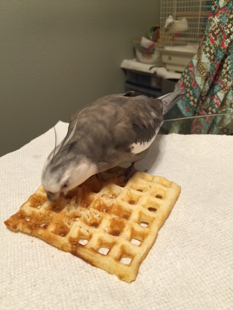 Speaking of which....