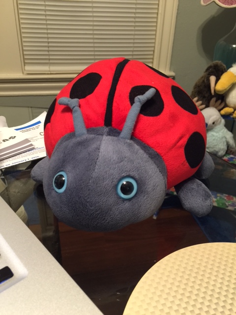 Enter Exhibit A: the "ladybug."