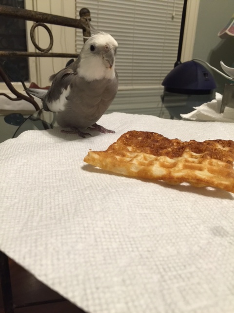 And then you must look right....