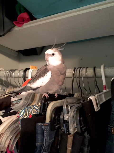 Oh boy. Here we go again. 