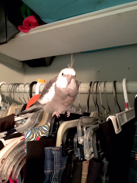 Well I know YOU think it is secure, Mom, but have you actually looked in here lately?