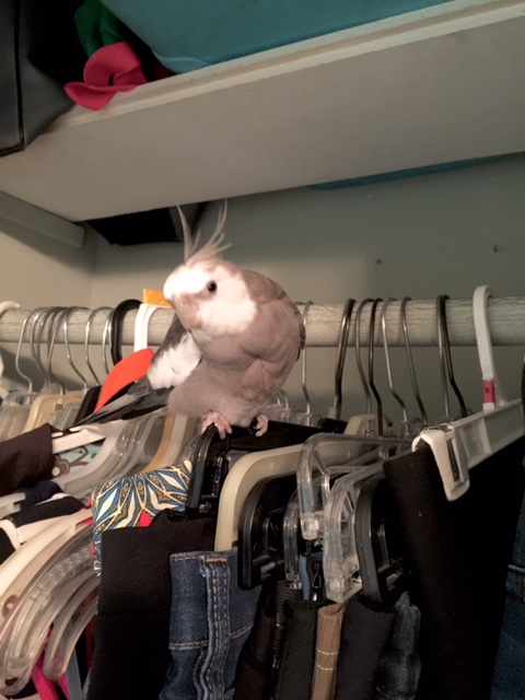 Uh oh....my highly trained .007 senses are receiving a security threat.