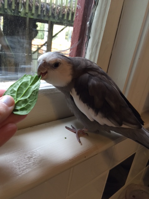 Okay, maybe just one more teensy bit for the road.