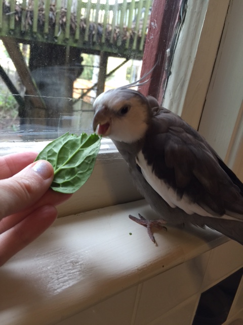 It would seem it is time to display the universal signal for "fullness"....