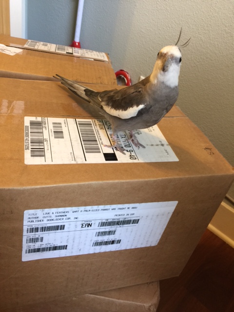 Why should we explain what's in the boxes? My VIP fans already know!