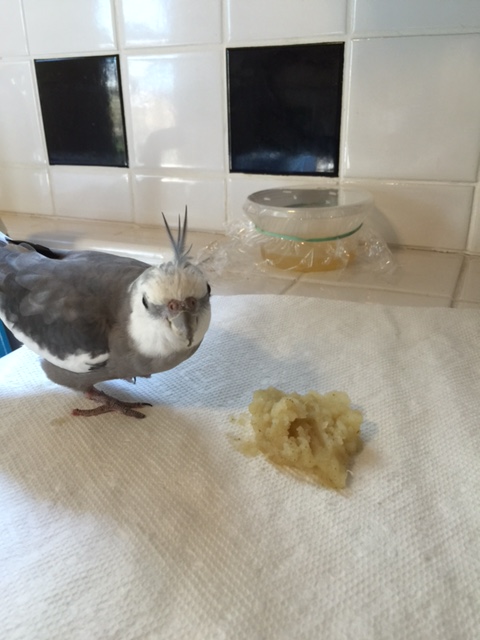 "Flying mashed potatoes?" No, Mom, I'm pretty sure you're seeing things again.