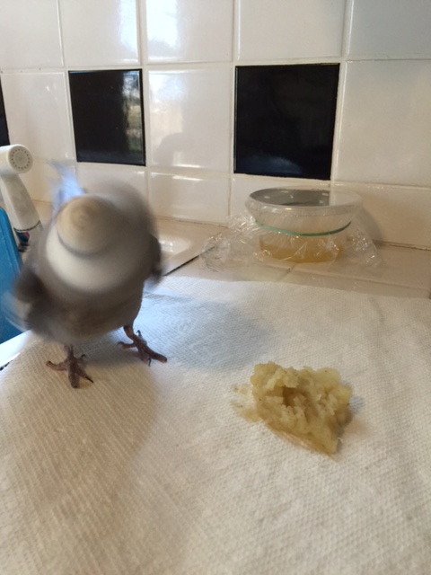 A quick covert fling and....