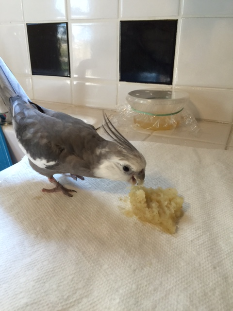 Well this dish looks tasty - I'll just have some.