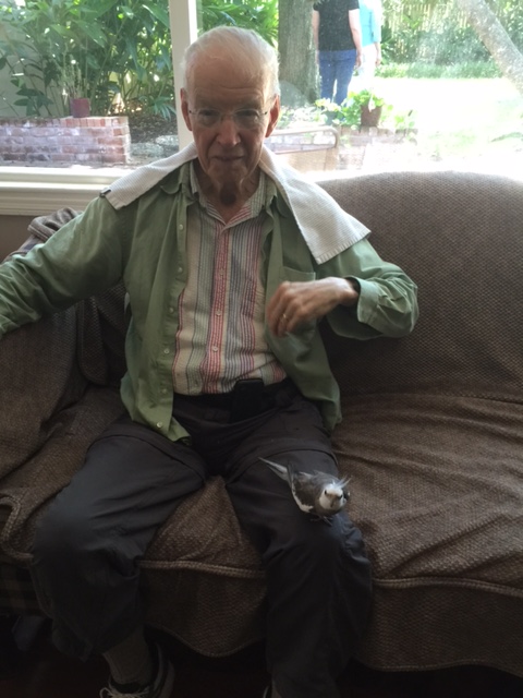My Grandpa loves me so much - he gave me the best seat in the house - and it even matches my gorgeous grey feathers!