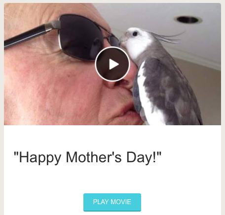 Director: Wendy Williams; Star: Pearl Cutts