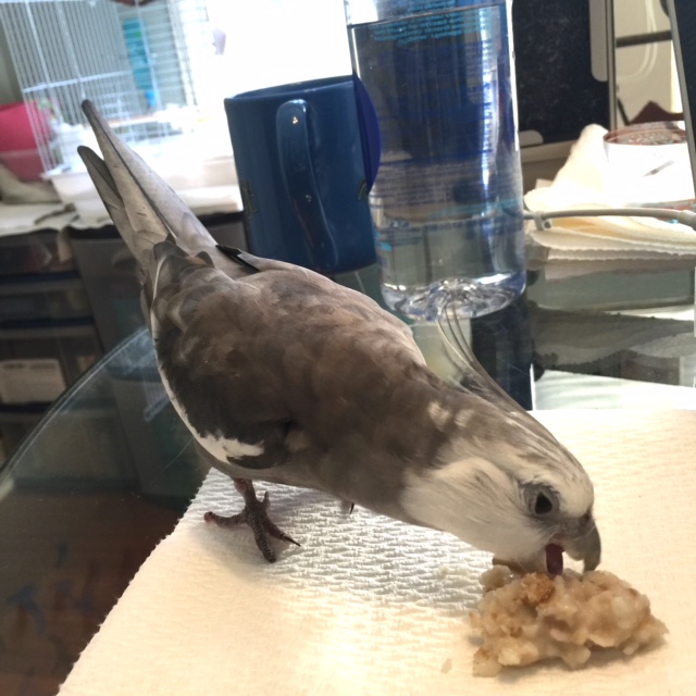 Plus it is perfect for practicing my "flinging" skills. I never pass up a chance to practice!