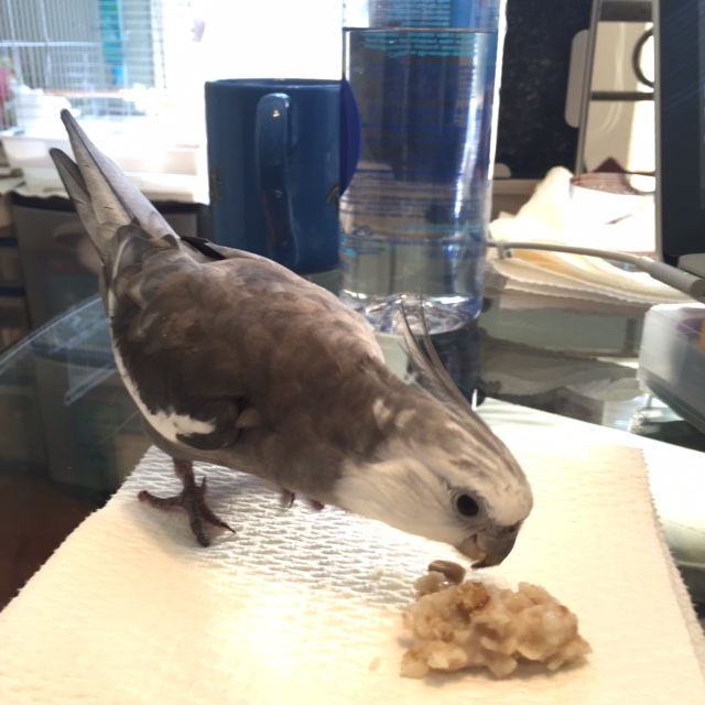 Mom's lucky I'm so patient with her.