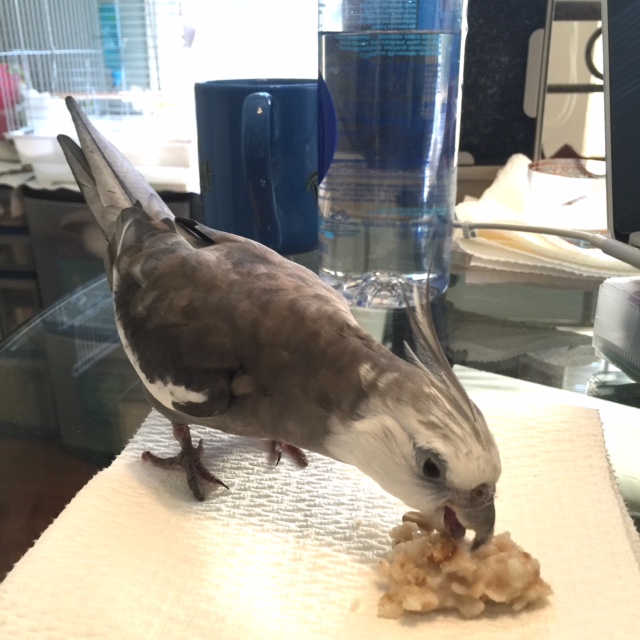 Luckily this is one of those "just add water" dishes so I know it is safe.