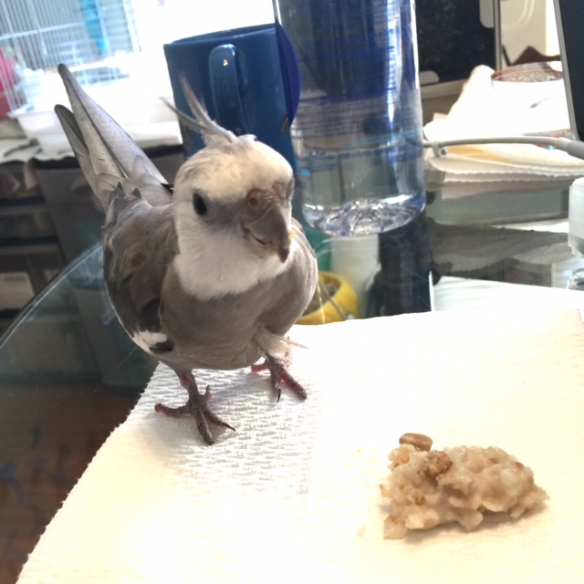 Yes, standing right there is fine, Mom. Well maybe back up just a hair. If I make this fling, it will be a new record for me....!