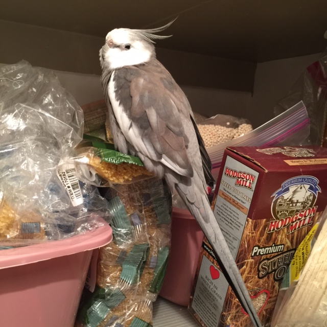 Of course the paparazzi are lurking....as usual.