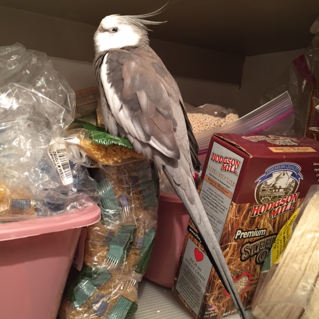 Boy am I feeling sleepy. I sure could use a good nap.