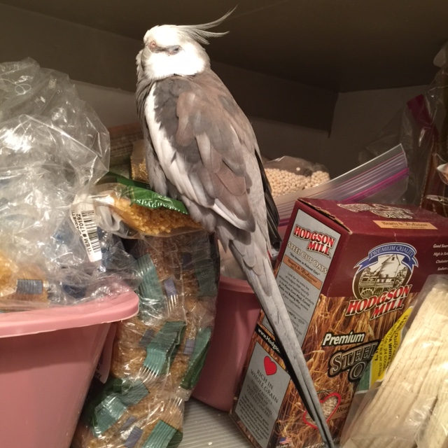 And it's not like my Mommyguard is any help here - she is the worst one of all!