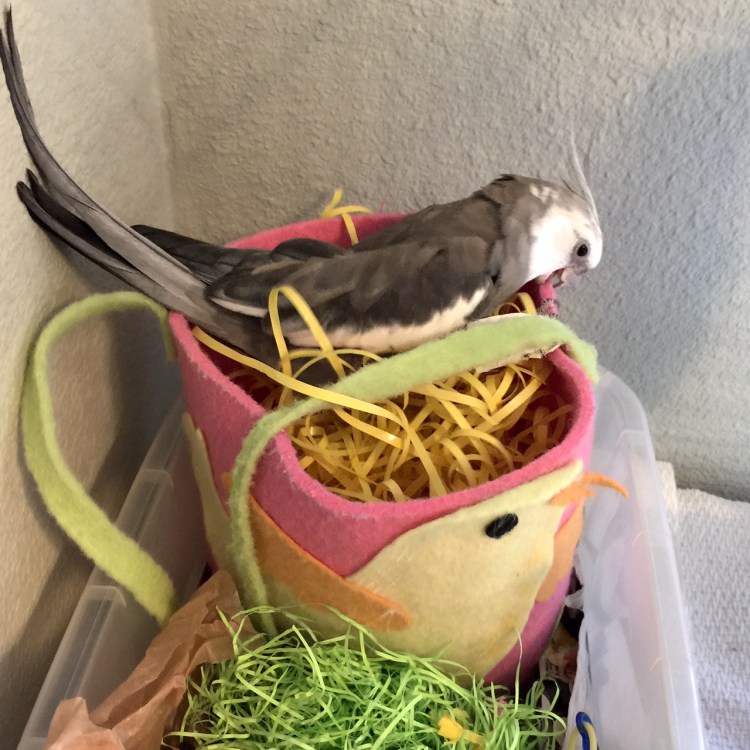 A handy example of a "power nester" (just in case you need one).