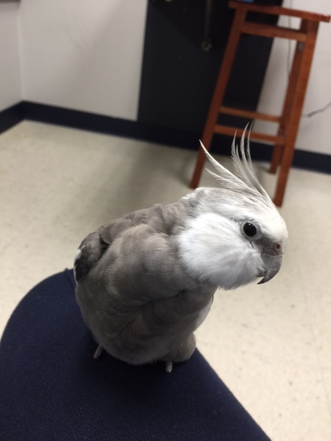 Well, well. I've certainly seen more attractive sets during my modeling career.