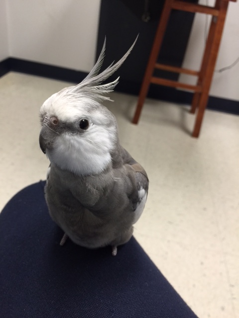 And - is that a - did that featherless being who just walked by have on a white lab coat?