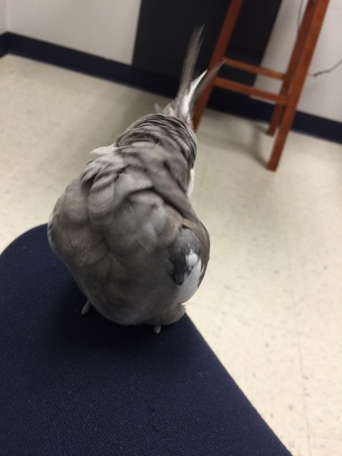 Uh oh - the one standing behind me does too. 