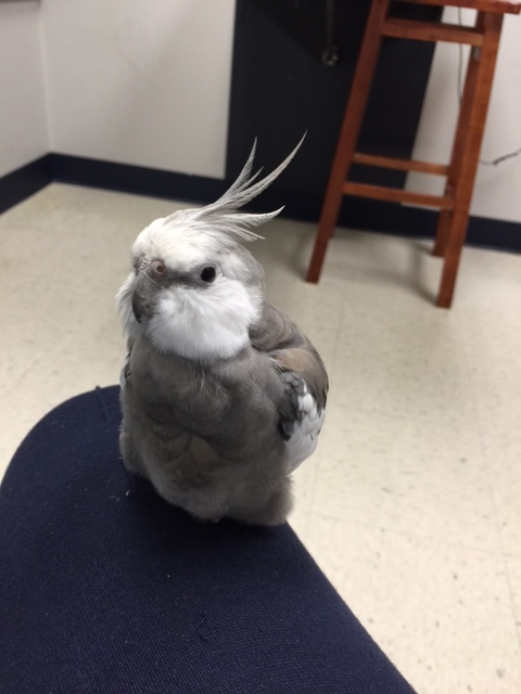 Um, Mom....how well do you actually know the client? Did she say what she does for a living?